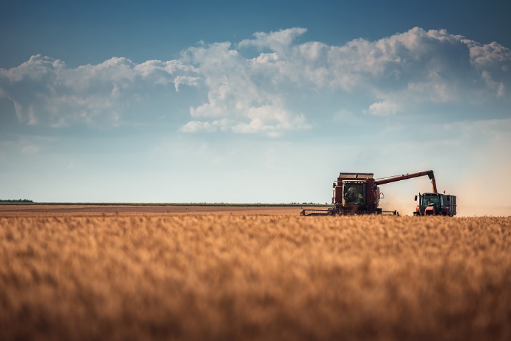 Imagen del artículo Agricultura abona más de 15 millones de la PAC y más de 7 millones de las ayudas por la sequía al cultivo del cereal