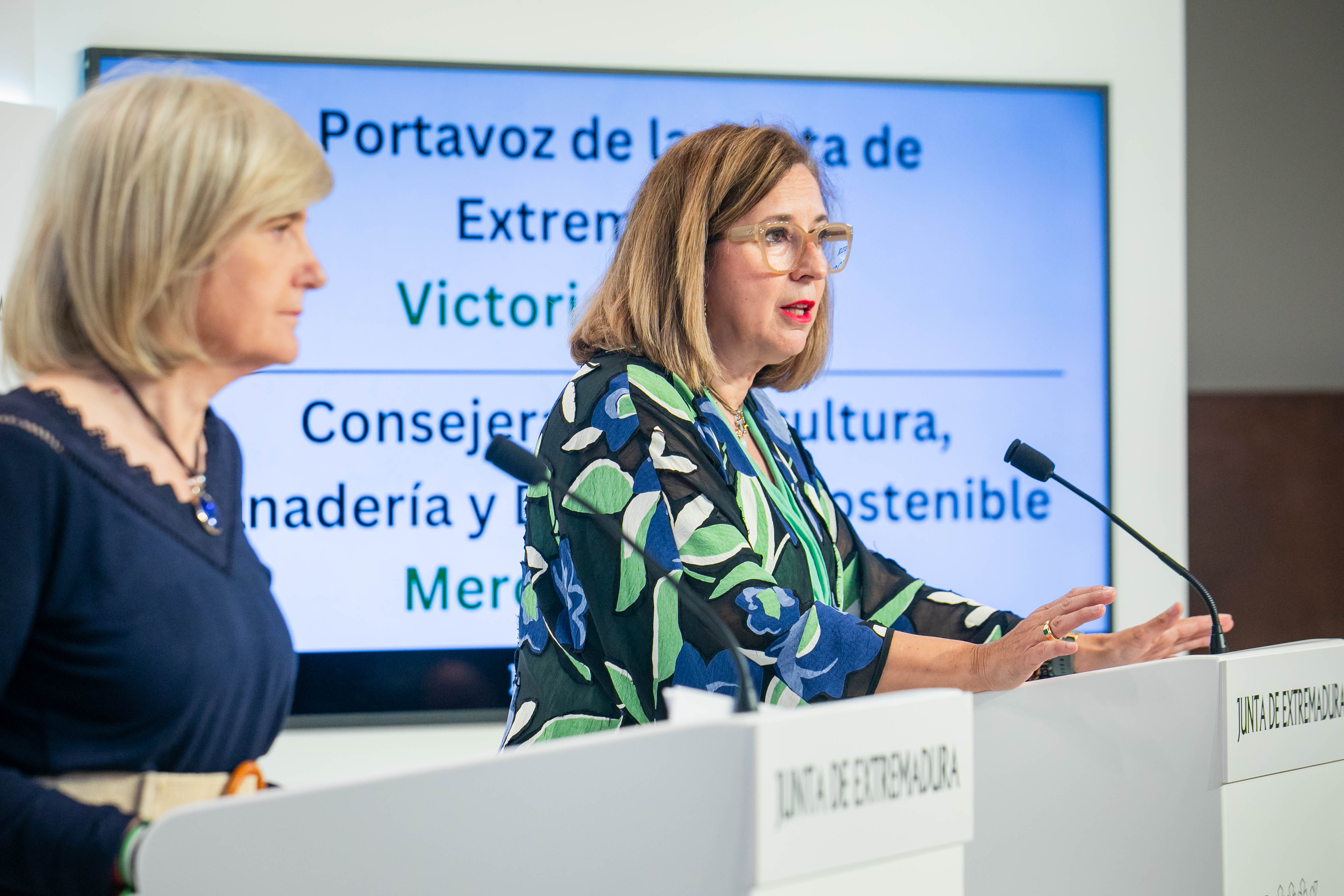 Imagen de portada