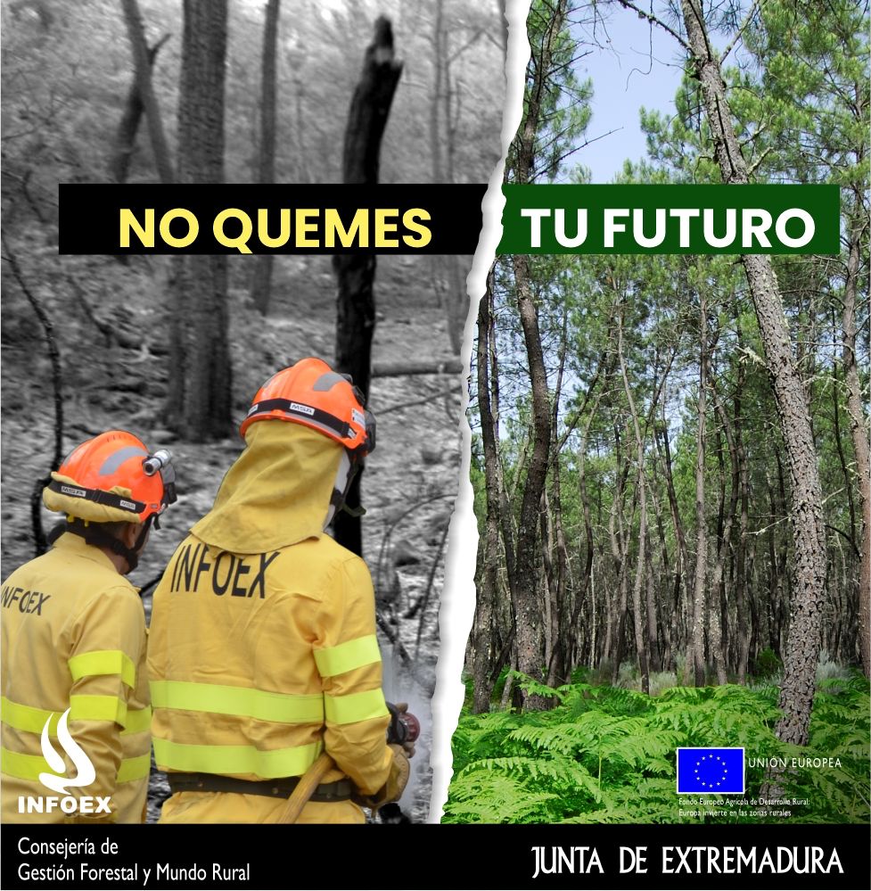 Imagen del artículo Presentada la campaña de prevención de incendios forestales de 2024 con el lema 'No quemes tu futuro'
