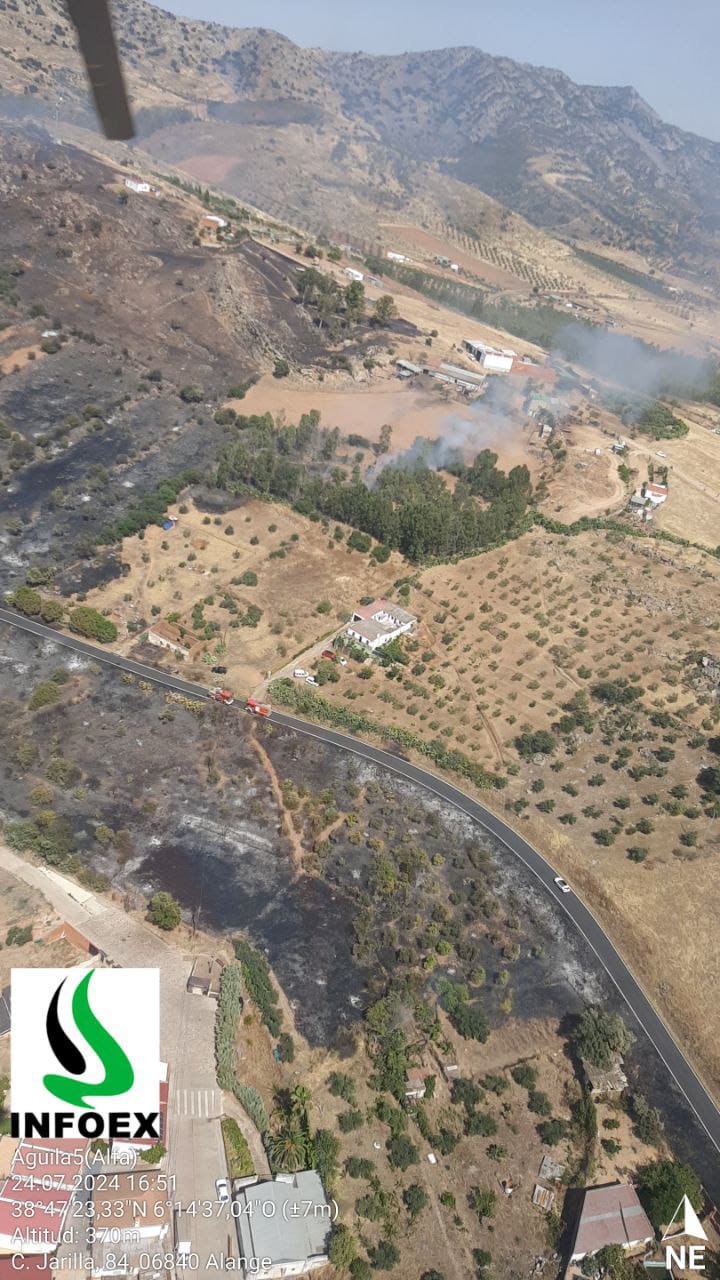 Imagen del artículo El Plan Infoex declara el nivel 1 en sendos incendios forestales en Ribera del Fresno y Alange