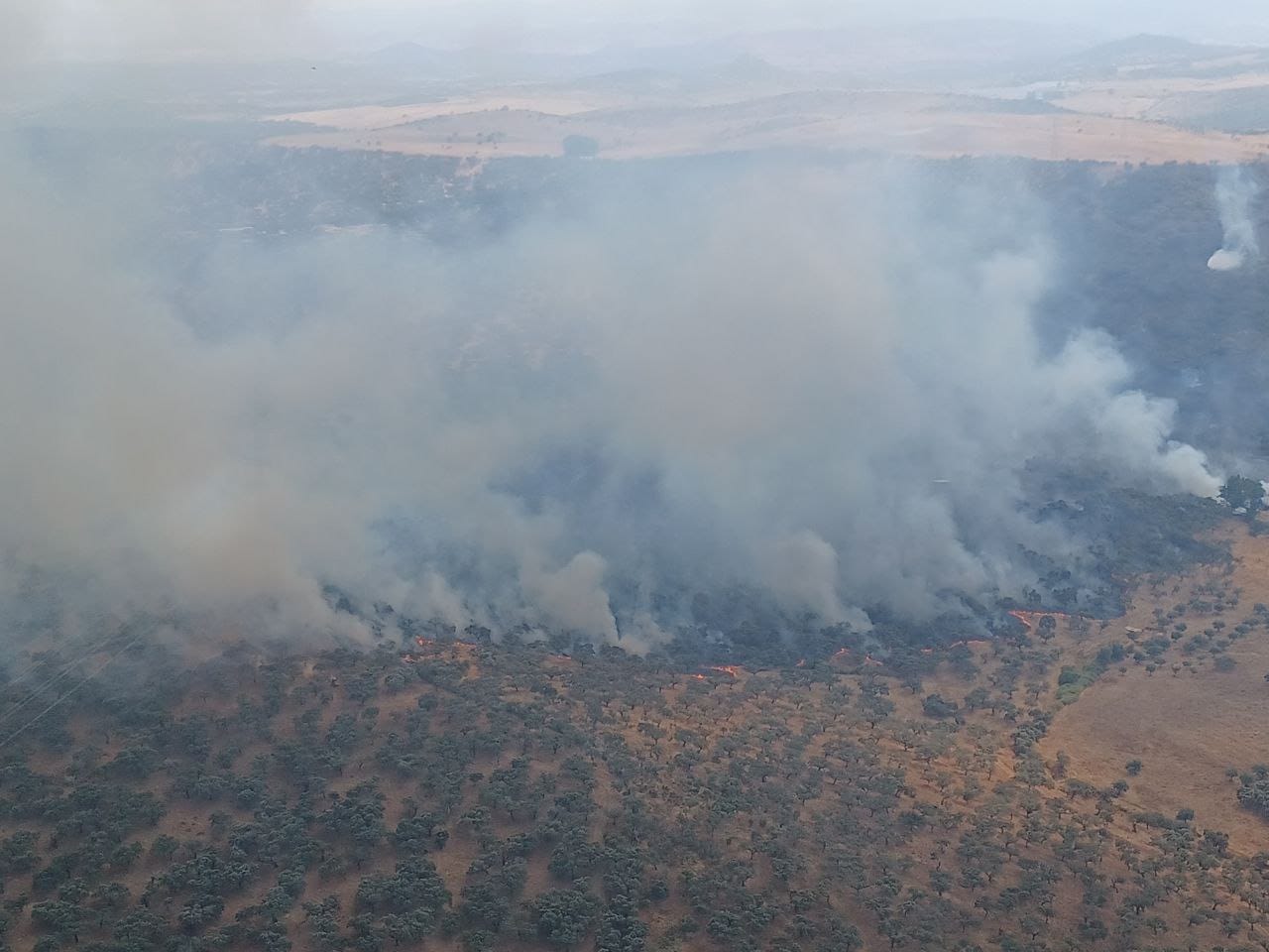 Foto de El Plan Infoex estabiliza el incendio de Burguillos del Cerro y desactiva el nivel 1