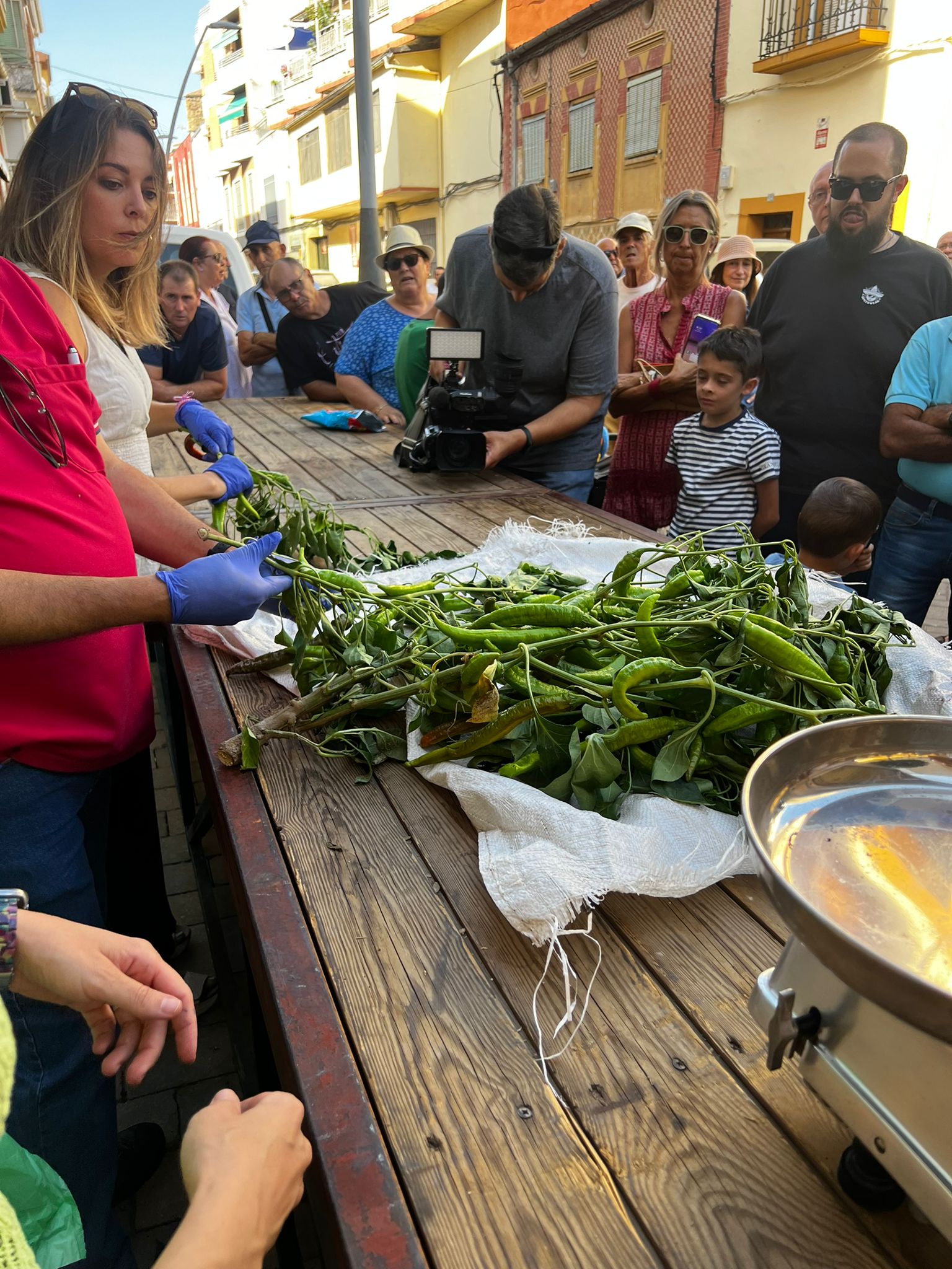 Inauguración de las fiestas del Tabaco y el Pimiento de Jaraíz de la Vera