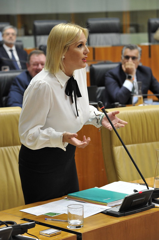 La consejera de Hacienda y Administración Pública, Elena Manzano, durante el pleno.