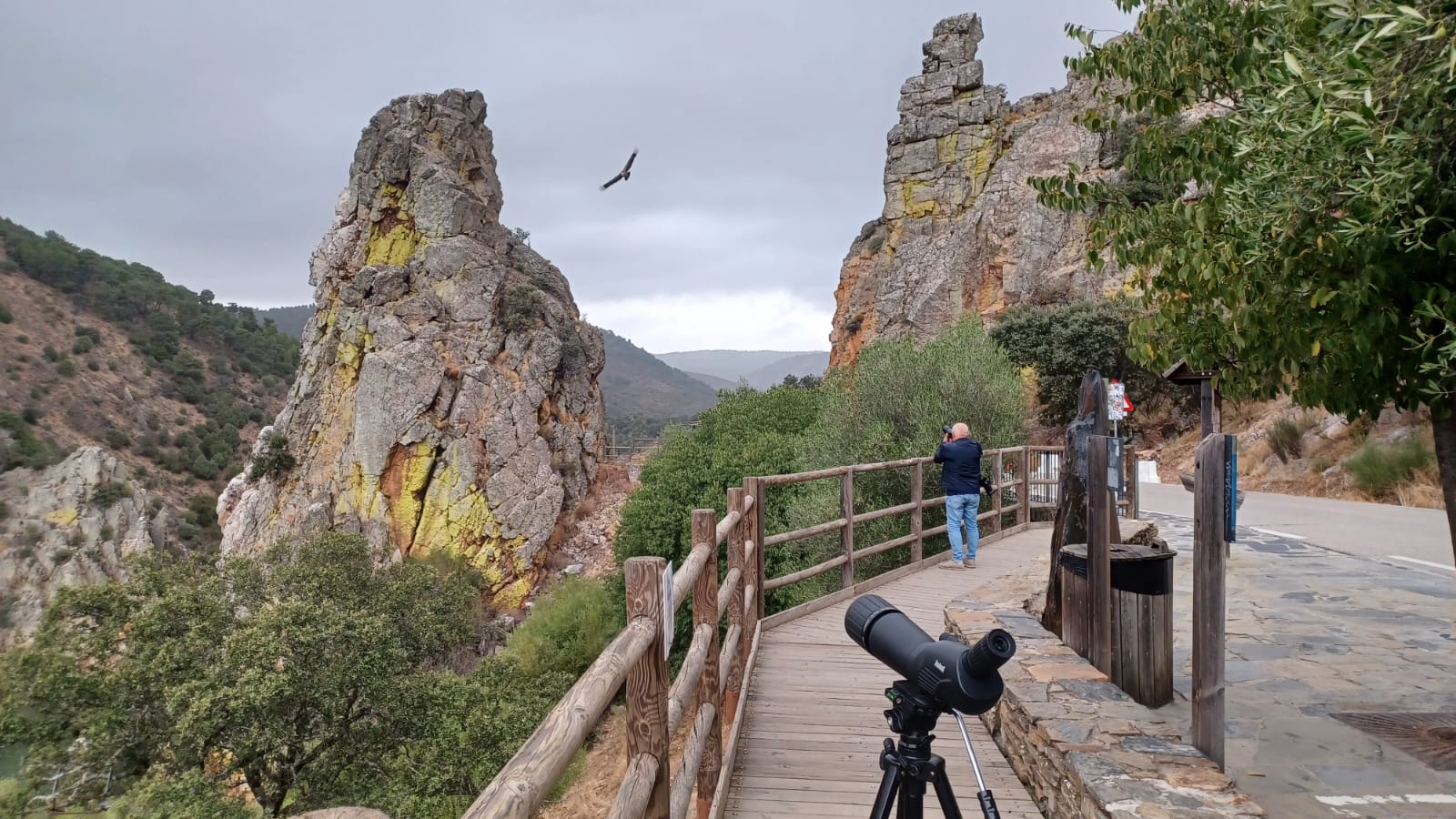 Turismo de naturaleza