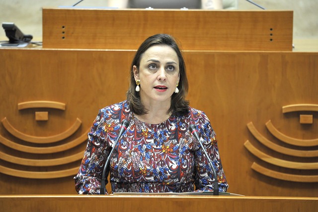 La secretaria General de Igualdad y Conciliación, Ara Sánchez Vera, durante el pleno.